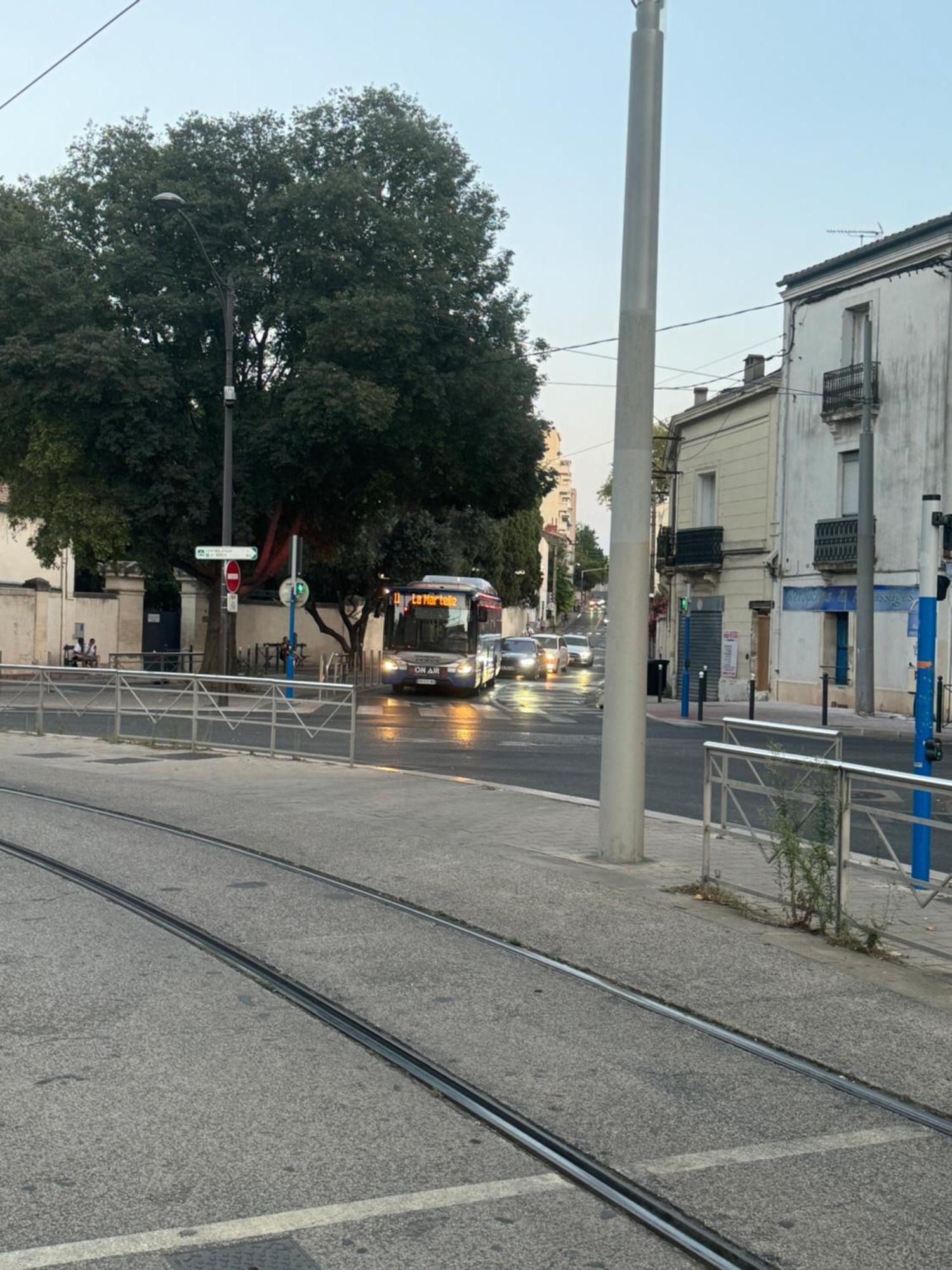 Paradis Calme En Plein Centre Ville Montpellier Eksteriør bilde