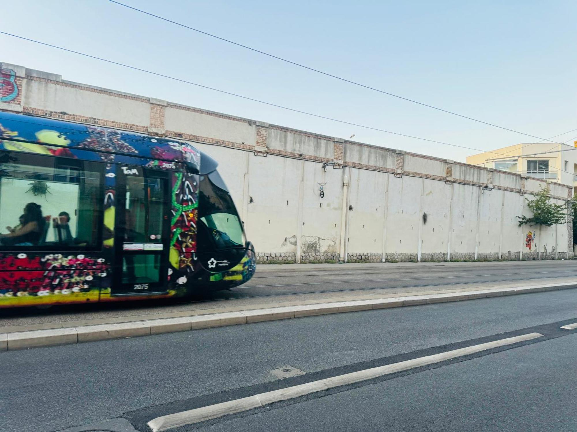 Paradis Calme En Plein Centre Ville Montpellier Eksteriør bilde