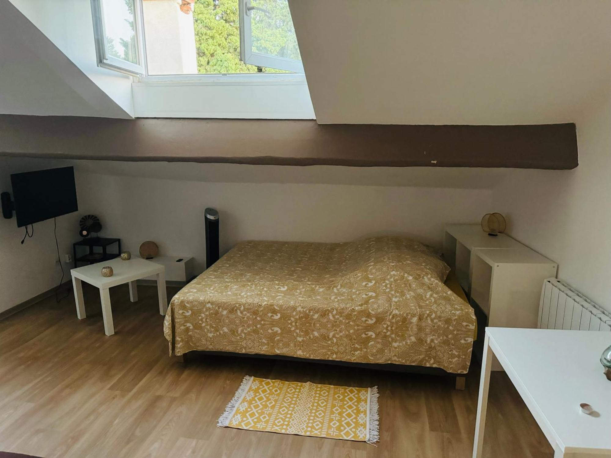 Paradis Calme En Plein Centre Ville Montpellier Eksteriør bilde