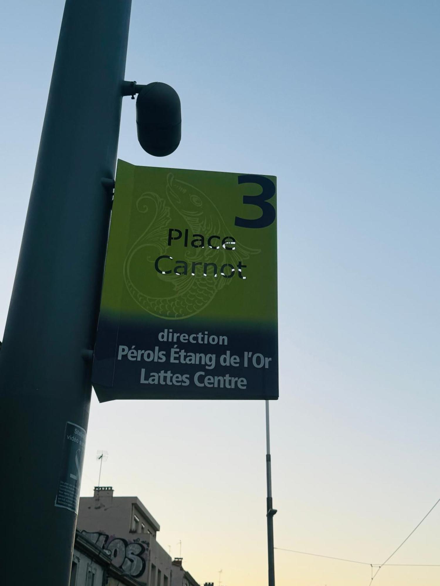 Paradis Calme En Plein Centre Ville Montpellier Eksteriør bilde